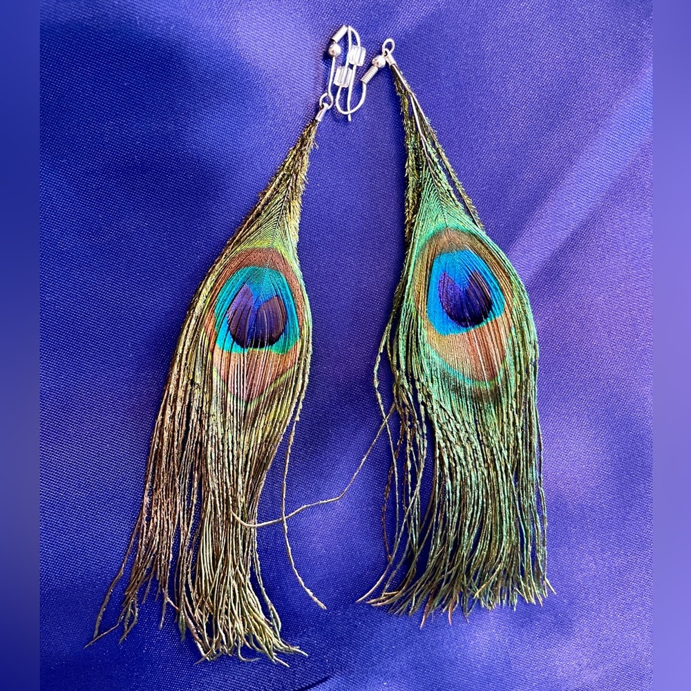 Peacock Feather Earrings